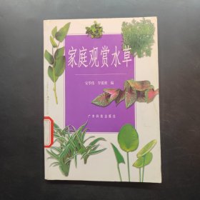 家庭观赏水草