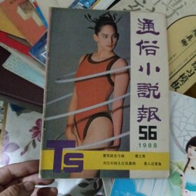 通俗小说报1988年11月总第56期