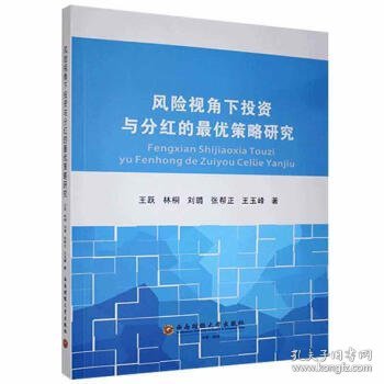 风险视角下投资与分红的最优策略研究