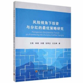 风险视角下投资与分红的最优策略研究