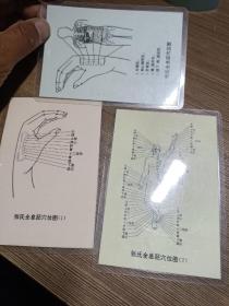 张氏全息胚穴位图《3张合售卡片式》