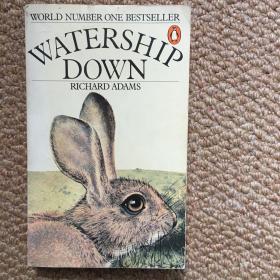 英文 WATERSHIP DOWN