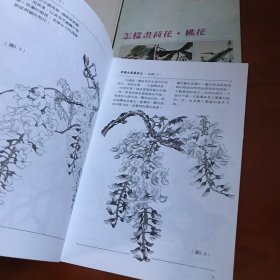 怎样画梅·兰·竹·菊。 鸡。雉 鷄   紫藤.牵牛花。 荷花  桃花  4本合售