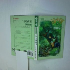 汤小团-大风起兮