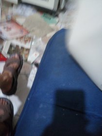 政治发展的经济分析：专制和民主的经济起源