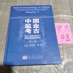 中国盐业考古（第一集）：长江上游古代盐业与景观考古的初步研究