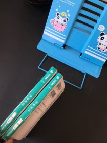 傷 邦銀崩壊 上下卷【平装日文书 两本合售】