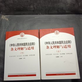 中华人民共和国民法总则 条文理解与适用（套装上下册）