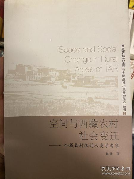 西藏跨越式发展与全面建设小康社会研究丛书·空间与西藏农村社会变迁：一个藏族村落的人类学考察