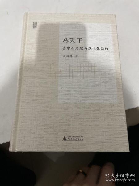 公天下：多中心治理与双主体法权