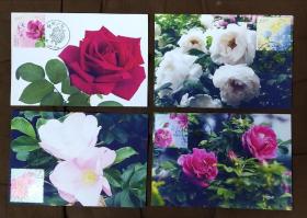 （4）2020年玫瑰花邮票极限片四枚一套（沈阳市花首纪念戳）