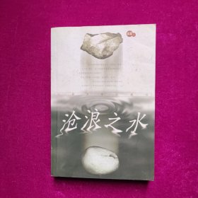 沧浪之水 阎真 著 人民文学出版社