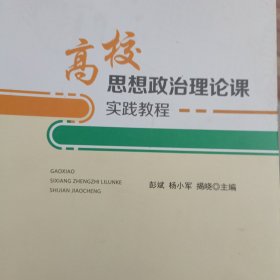 高校思想政治理论课实践教程（杨小君）