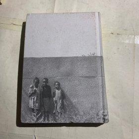 法律的颜色一段被遗忘的美国政府种族隔离史