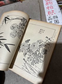 芥子园画传：第二集