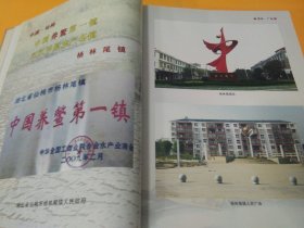 《杨林尾镇志》湖北省仙桃市