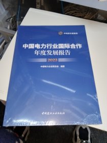 2023中国电力行业国际合作年度发展报告【带塑封】