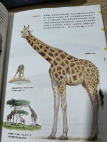给孩子的自然图鉴：动物图鉴