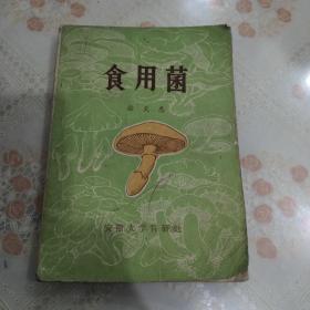食用菌