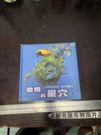 “大视野猜猜看”照片翻翻书：动物的巢穴