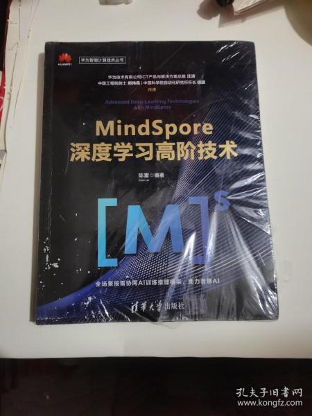 MindSpore深度学习高阶技术