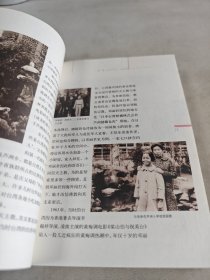 邓丽君画传