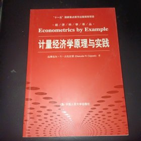 计量经济学原理与实践/“十一五”国家重点图书出版规划项目·经济科学译丛