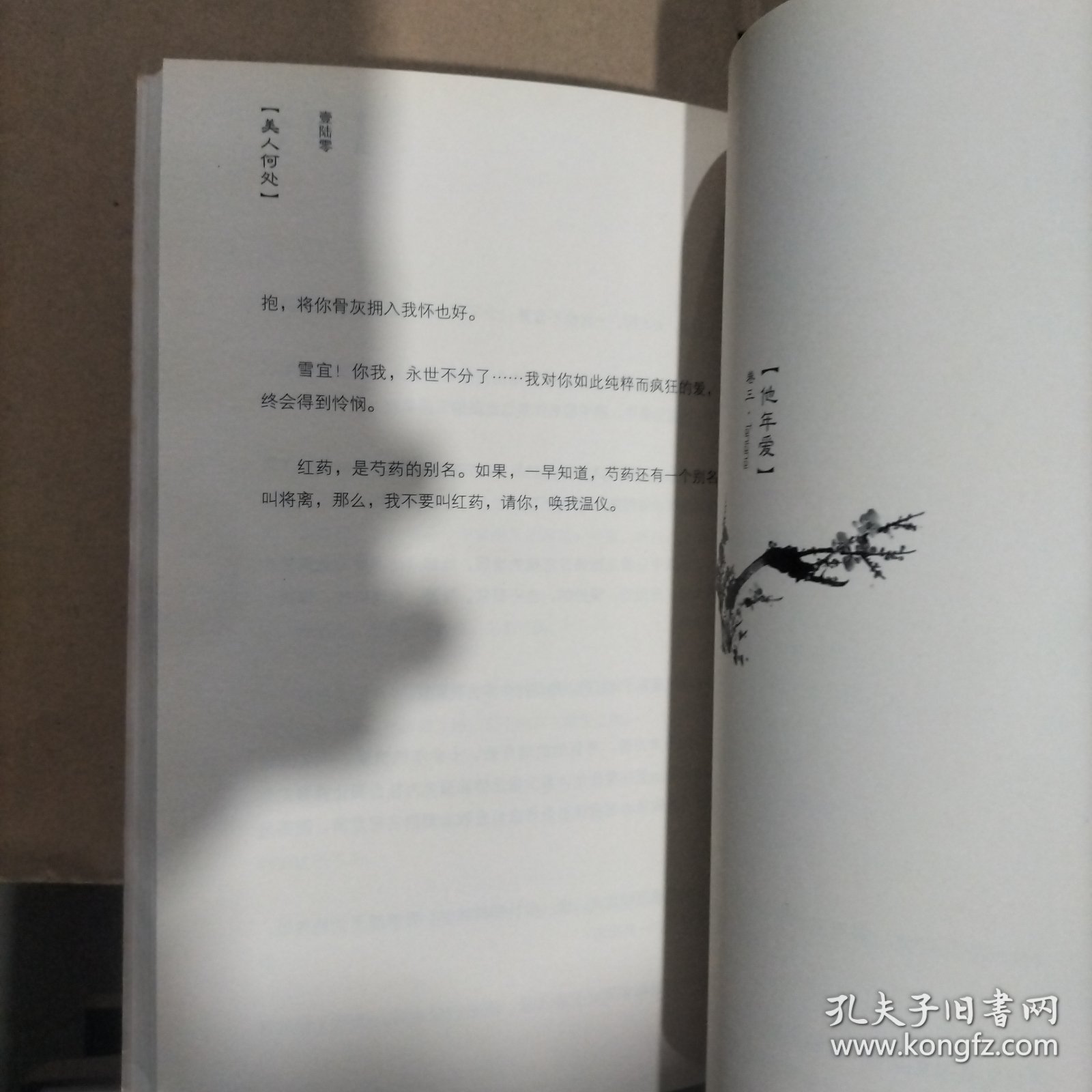 美人何处