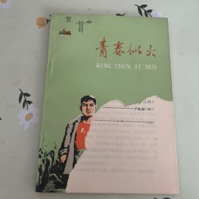 青春似火