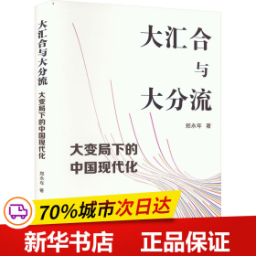 大汇合与大分流：大变局下的中国现代化