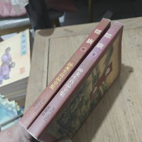 镖旗（上下）