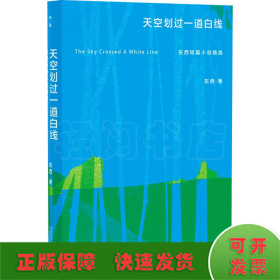 天空划过一道白线 东西短篇小说精选