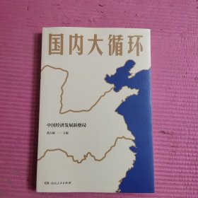 国内大循环 【467号】