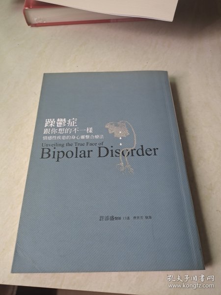 躁郁之心：我与躁郁症共处的30年(上)