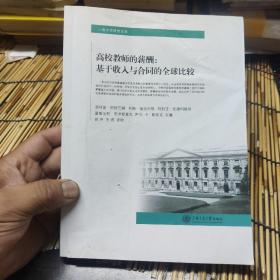 高校教师的薪酬:基于收入与合同的全球比较 包邮 AB3