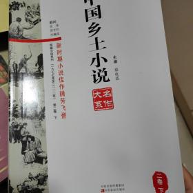 中国乡土小说名作大系（二卷下），有贾平凹，火纸