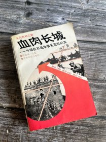 血肉长城：中国抗日战争著名战役纪实