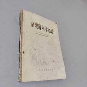 病理解剖學(xué)圖譜