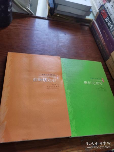 在钟楼左右+谁识无弦琴