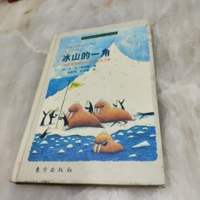冰山的一角