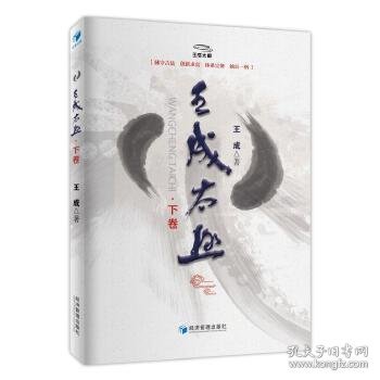 王成太极（下卷）