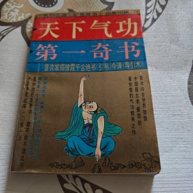 天下气功第一奇书