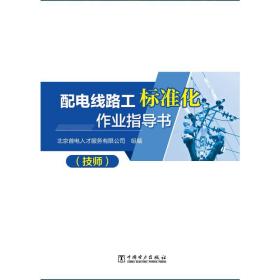配电线路工标准化作业指导书（技师）