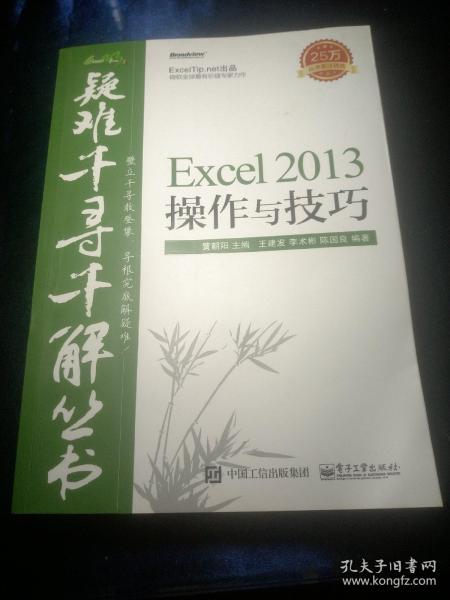 疑难千寻千解丛书 Excel 2013操作与技巧