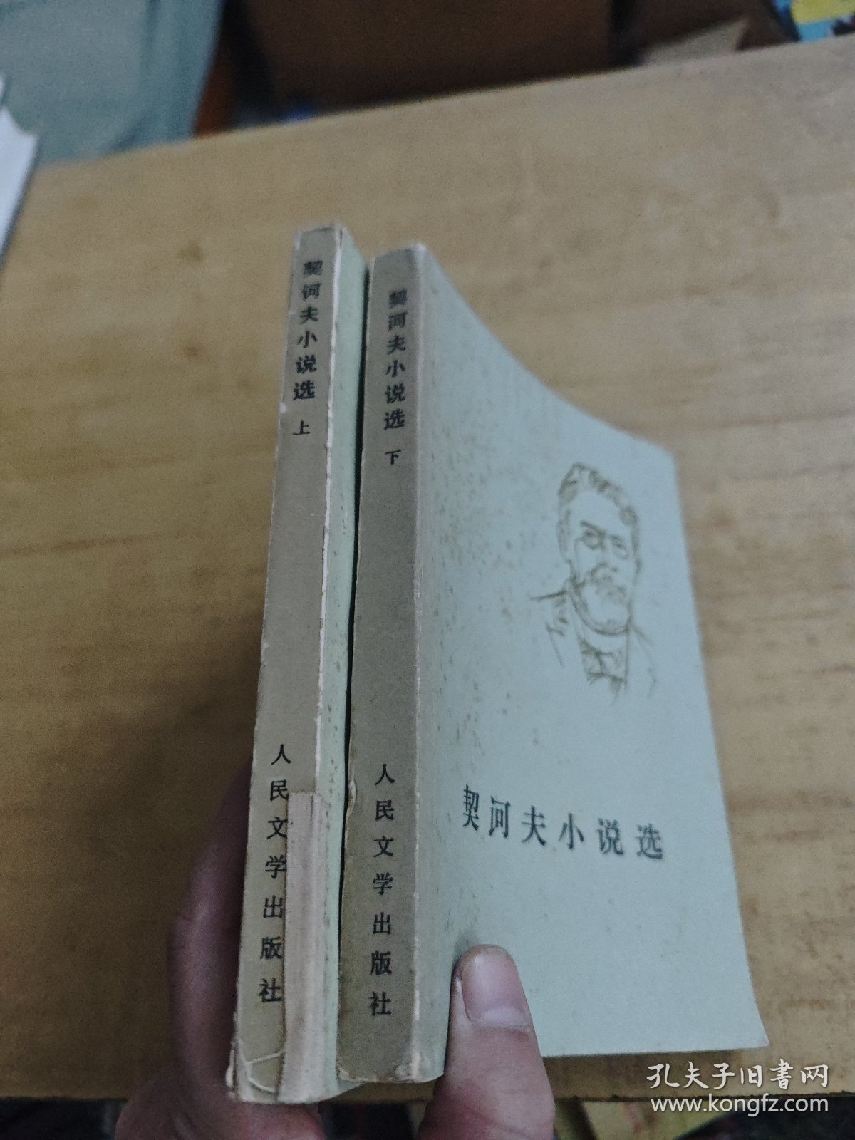 契河夫小说选 上下