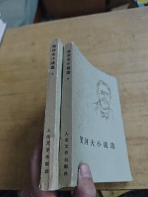 契河夫小说选 上下
