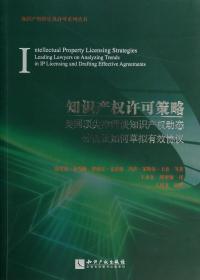 知识产权许可策略：美国顶尖律师谈知识产权动态分析及如何草拟有效协议