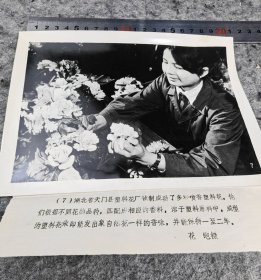 【湖北天门县塑料花厂】八九十年代新华社新闻展览照片散页，花皑 摄