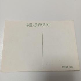 中山公园水榭  彩色明信片  1958年