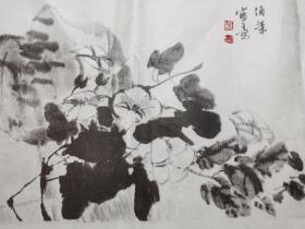 80年代上海博物馆珂罗版宣纸精印  任伯年《牵牛花》